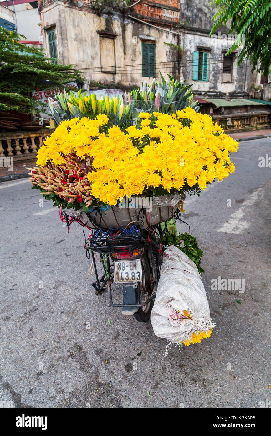 Moto entièrement chargé avec des petites fleurs dans le centre de Hanoi, Vietnam. Les fleurs seront vendues dans les rues de Hanoi.Grande Banque D'Images