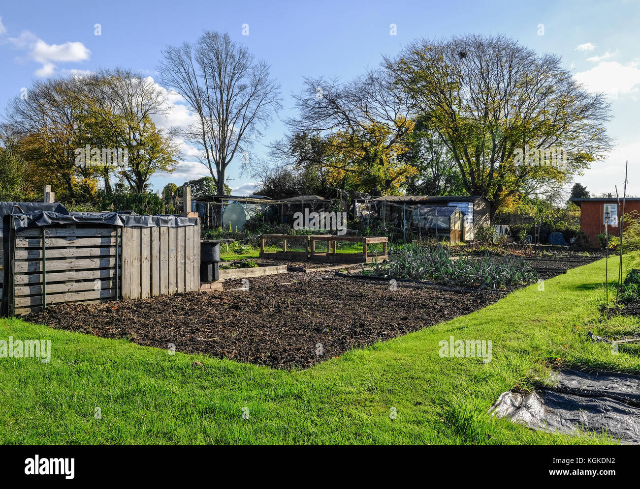 Tracé d'attribution à l'automne. un allotissement est une petite parcelle de terre où vous cultivez vos propres légumes. Banque D'Images