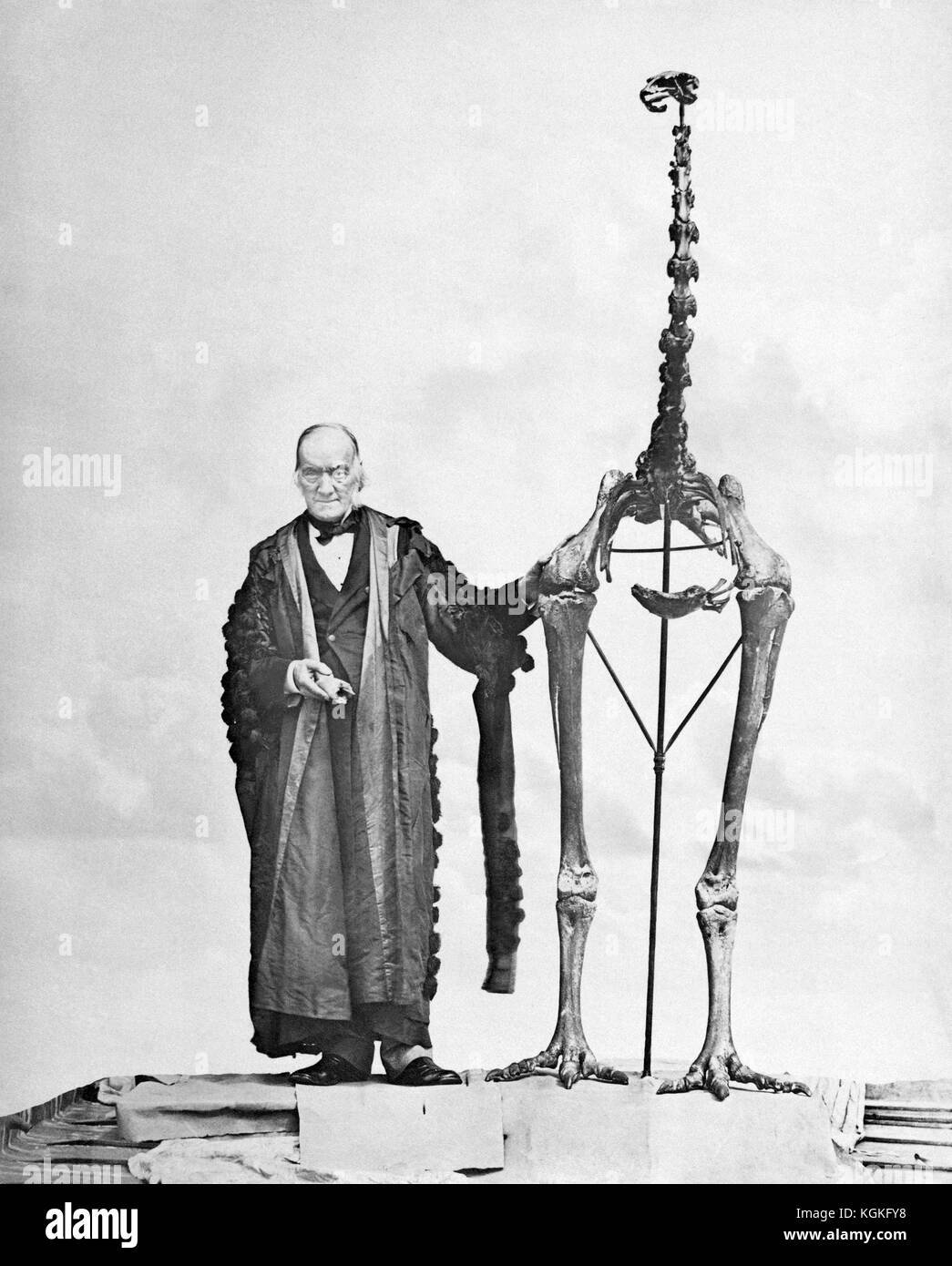 Sir Richard Owen KCB SGRF FRS (1804 - 1892) avec un squelette géant moa, c1879. Owen était un biologiste anglais, anatomiste et paléontologue comparatif qui a été un adversaire de la théorie de Charles Darwin de la sélection naturelle. Il est également rappelé aujourd'hui pour battre le mot Dinosauria (à partir de laquelle nous obtenons Dinosaur). Banque D'Images