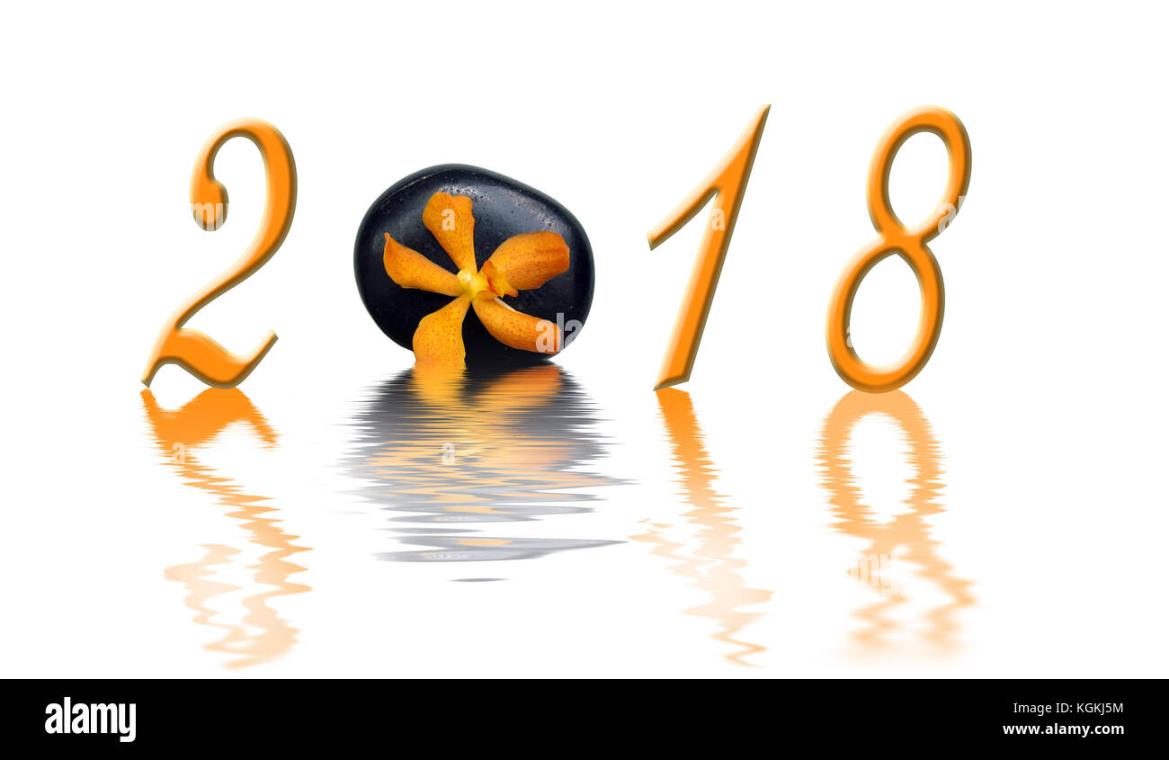 En 2018, l'orchidée orange zen et pierre noire Banque D'Images