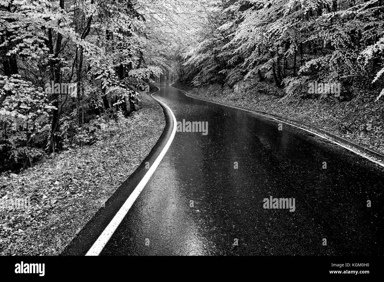 Route de montagne - photo en noir et blanc Banque D'Images