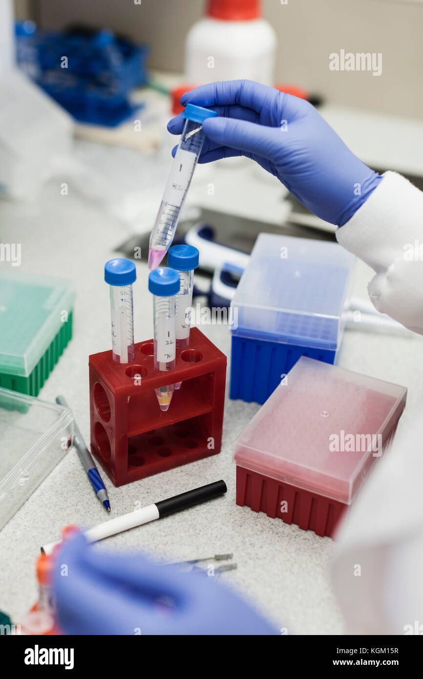 Portrait of scientist at table in laboratory Banque D'Images