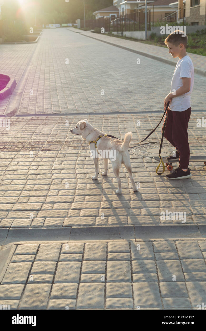 Vue latérale du garçon sur planche avec chien pendant le coucher du soleil Banque D'Images