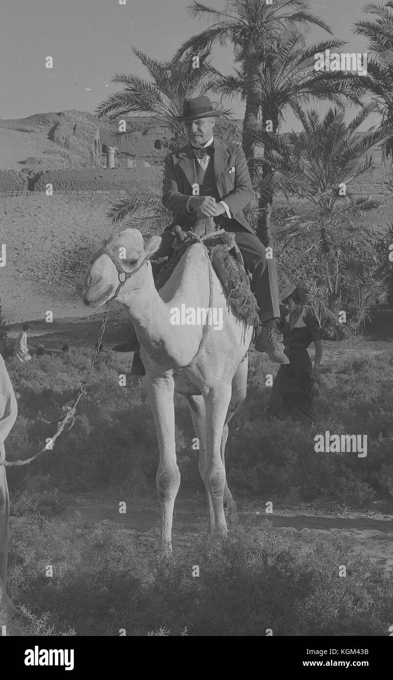 Mort sur le Nil (1978) , Jack Warden Date : 1978 Banque D'Images