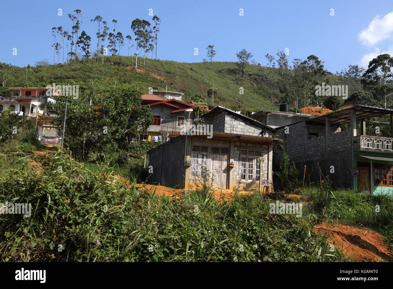 Hill Country Province de cueilleurs de thé de Sri Lanka Cottages Banque D'Images