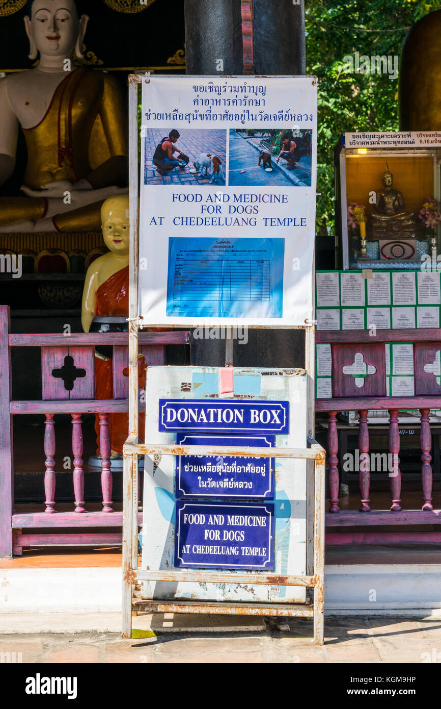 Donation box pour les chiens dans un temple à Chiang Mai, Thaïlande Banque D'Images