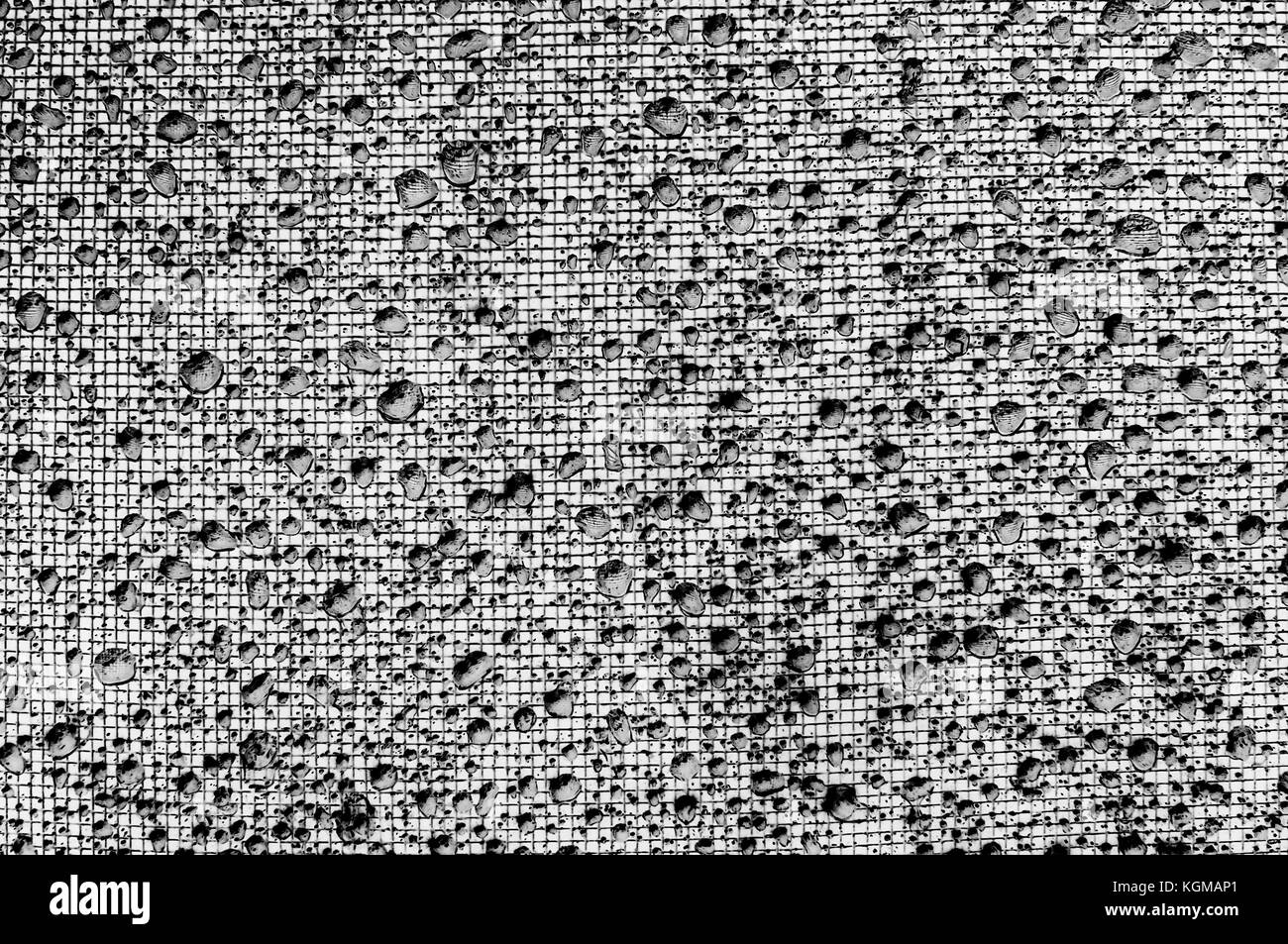 Gouttes de pluie sur la vitre et sur la grille.Texture. Banque D'Images