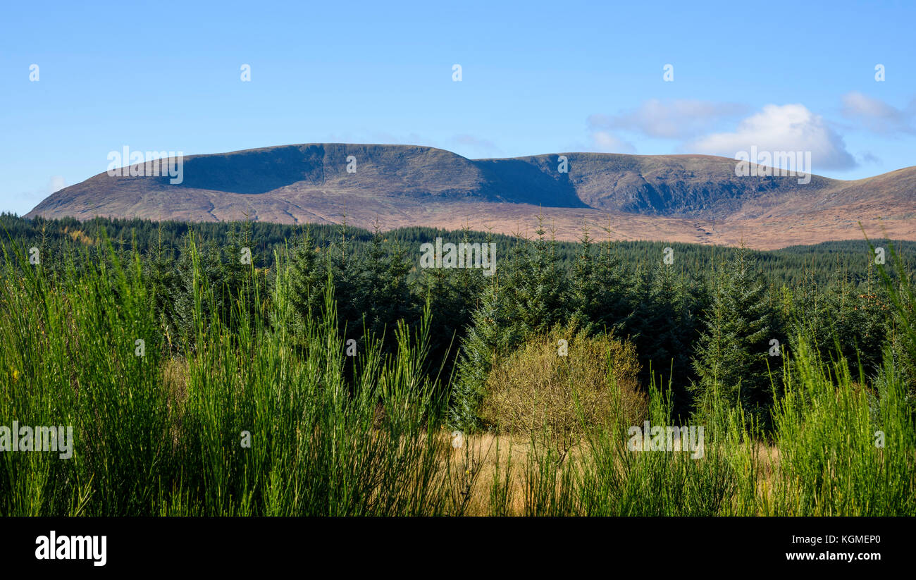 La flotte de Cairnsmore, près de Leeds, Dumfries et Galloway, Écosse Banque D'Images