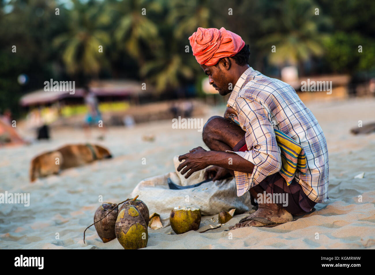 Un vendeur de noix de coco Coco ouvrant sur la plage de Gokarna, Inde. Banque D'Images