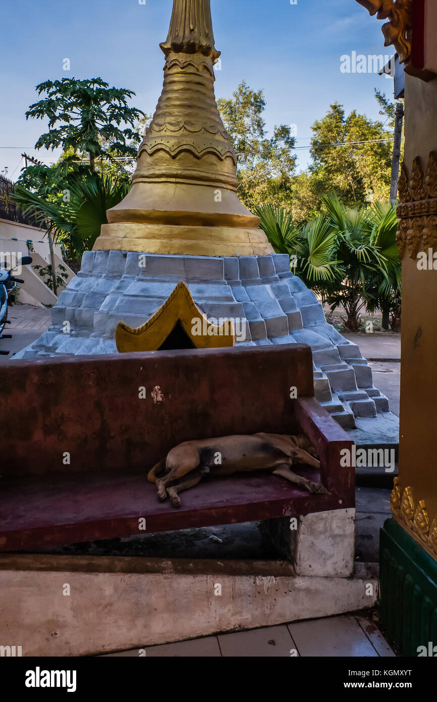 Un chien à dormir sur un banc à la Pagode Kyaik Pun, Bago, Myanmar Banque D'Images