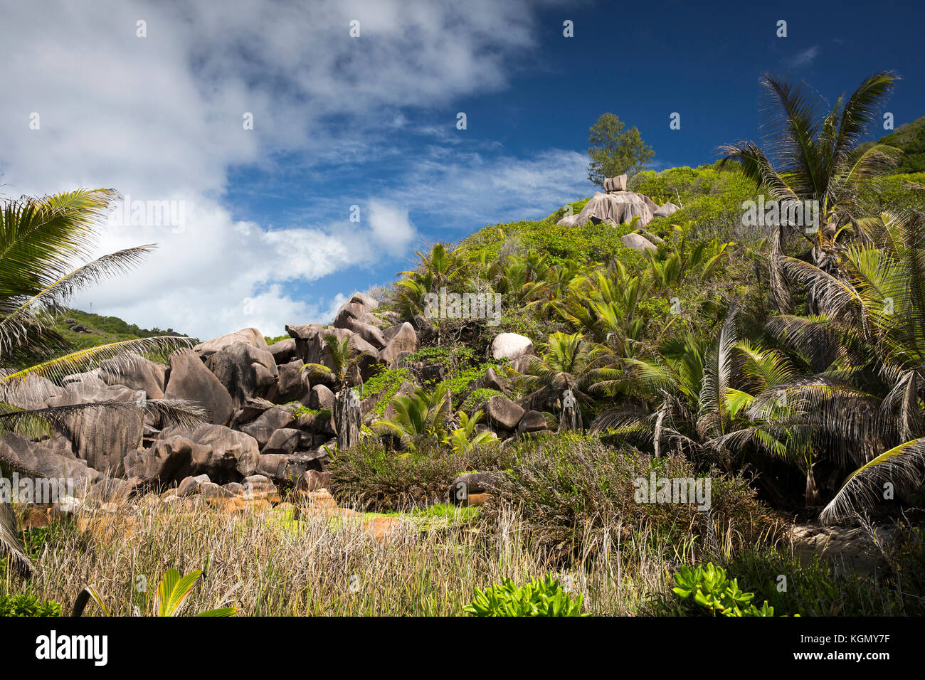 Les Seychelles, La Digue, Grand Anse, granit érodés rock formation sur colline derrière beach Banque D'Images