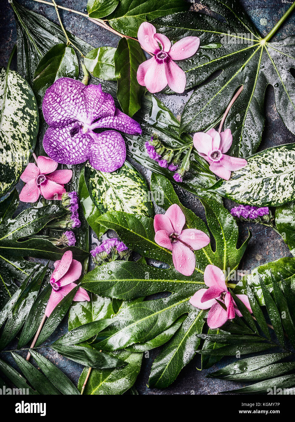 Arrière-plan de la nature tropicale créatif avec différentes feuilles de palmiers et de jungle et de fleurs violettes, vue d'en haut. concept de plantes exotiques Banque D'Images