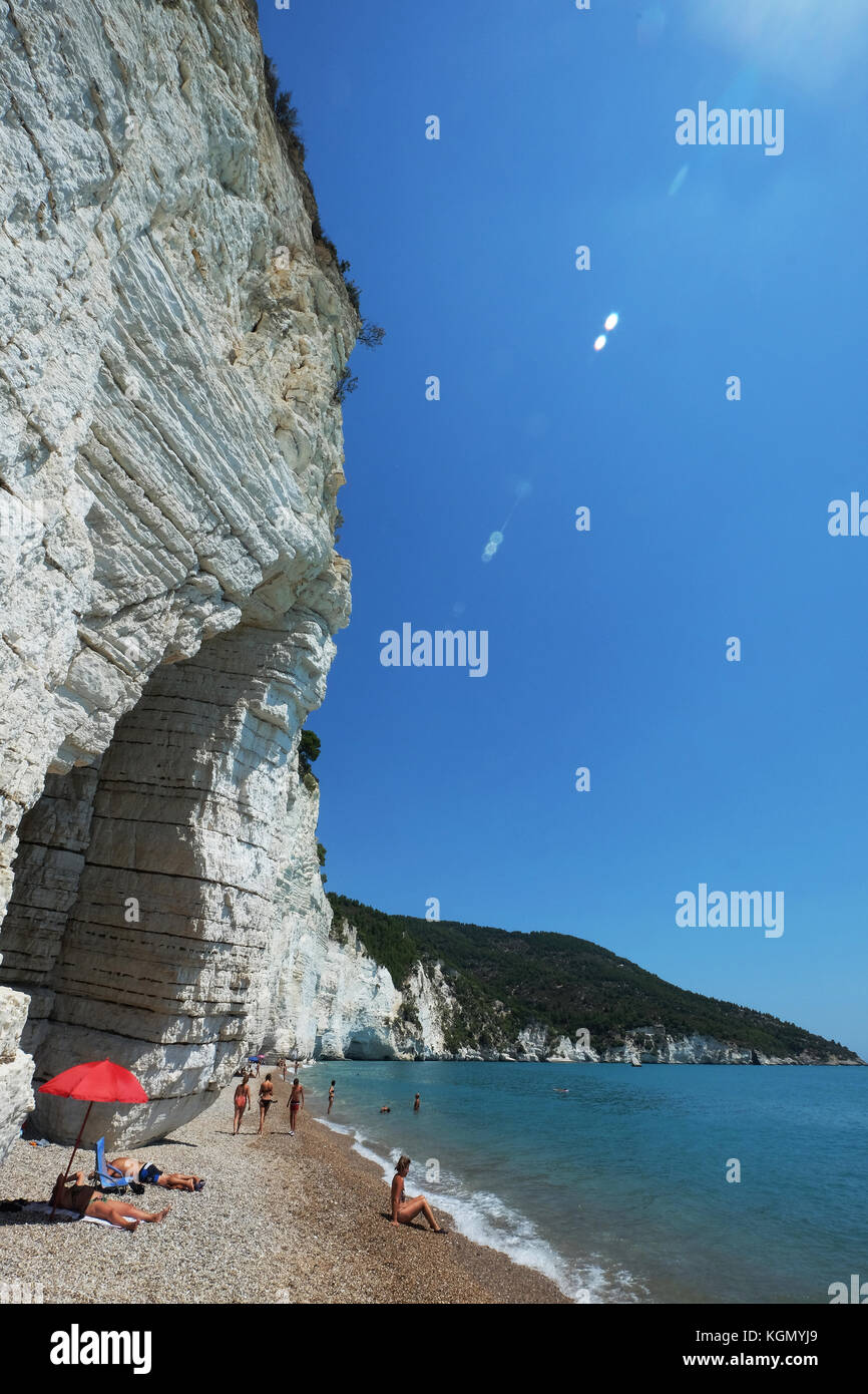 Baie Vignanotica, côte entre Mattinata et Vieste, Promontoire du Gargano, Parc National du Gargano, Pouilles, Italie Banque D'Images