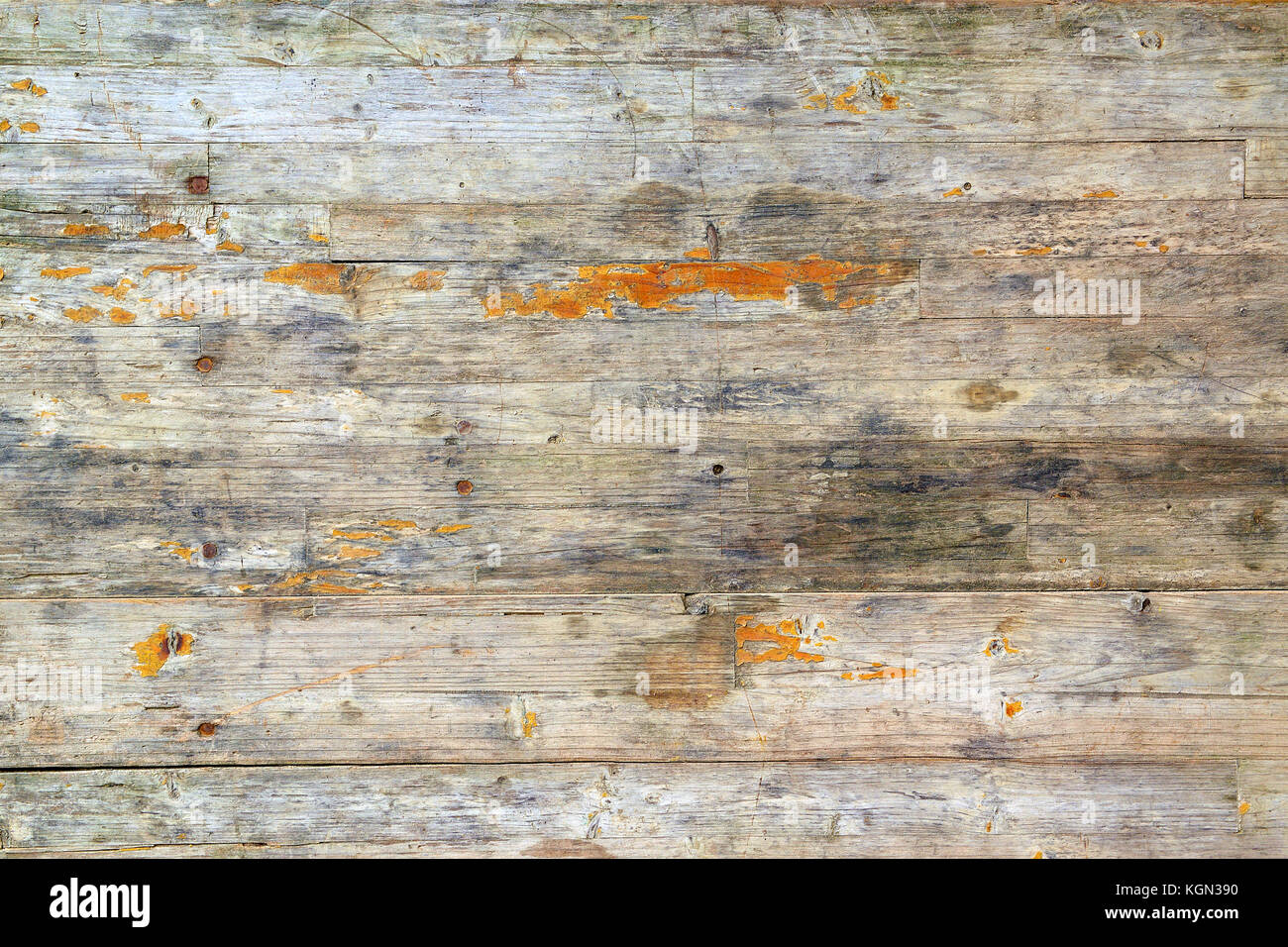 Fond texturé en bois avec un peu de lichen. contexte de la texture pour l'éditeur de texte. Banque D'Images