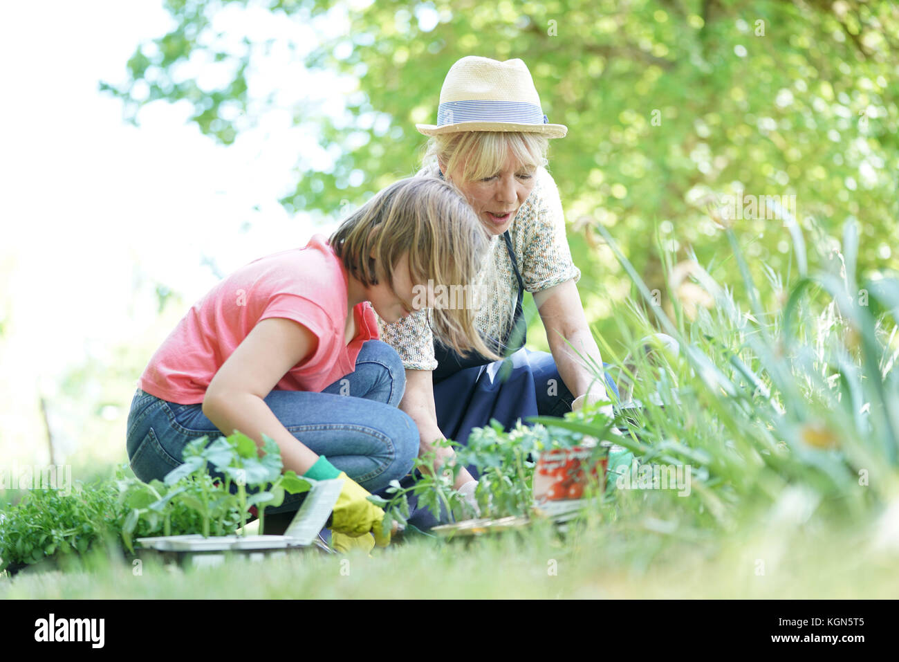 Grand-mère et petite-fille gardening together Banque D'Images