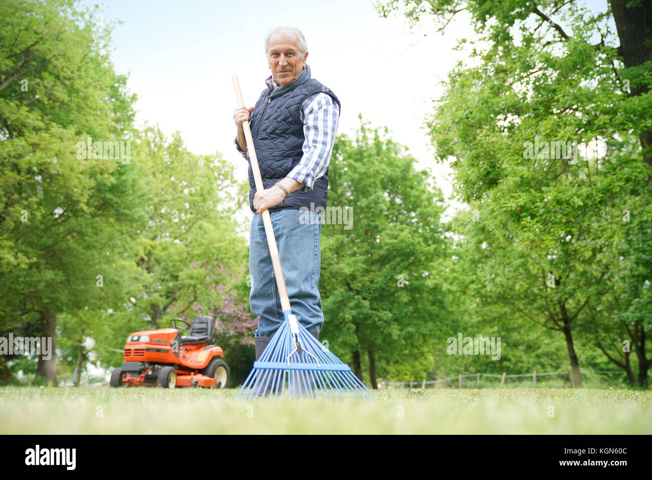 Man nettoyage jardin pelouse avec rake Banque D'Images