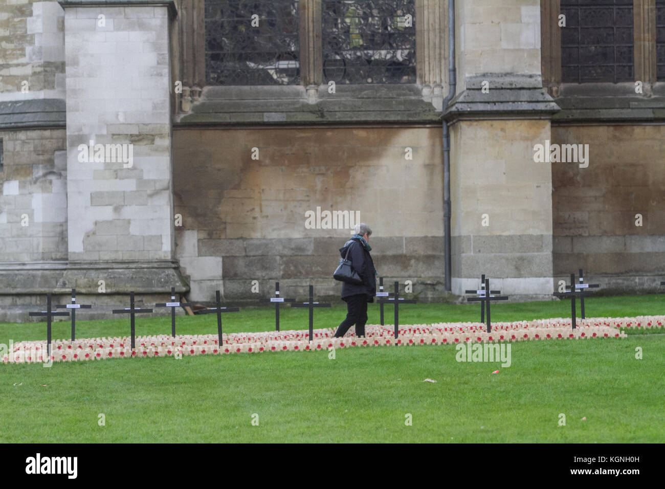 Londres, Royaume-Uni. 9 nov, 2017. membres du public visiter le domaine du souvenir à l'abbaye de Westminster qui a été officiellement ouverte par son Altesse Royale le prince Harry qui honore la vie de ceux qui sont morts en service dans les forces armées de l'avant du souvenir amer : crédit ghazzal/Alamy live news Banque D'Images