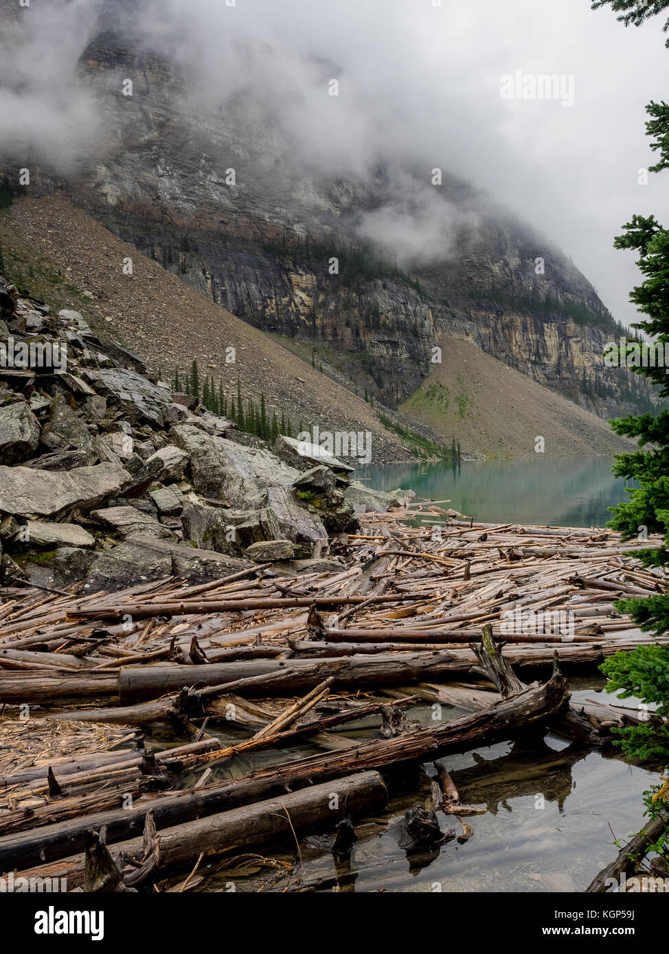 Log Jam au lac Moraine, Banff National Park, Alberta Canada Banque D'Images