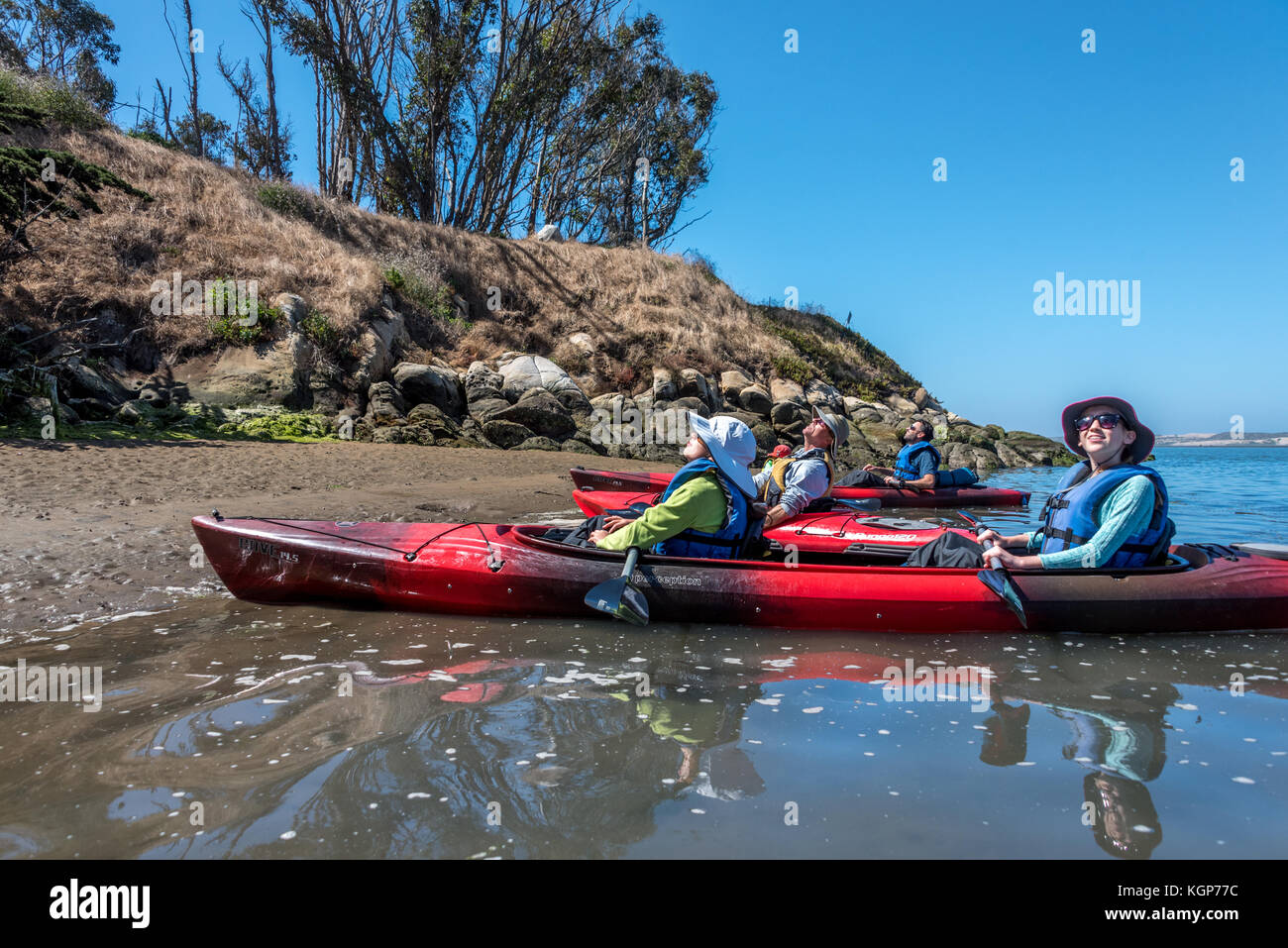 Assis dans le kayak, un guide naturaliste montre une famille le Heron Rookery at Morro Bay où les aigrettes et les hérons neige pluie et le long de l'année dans les eucalyptus Banque D'Images