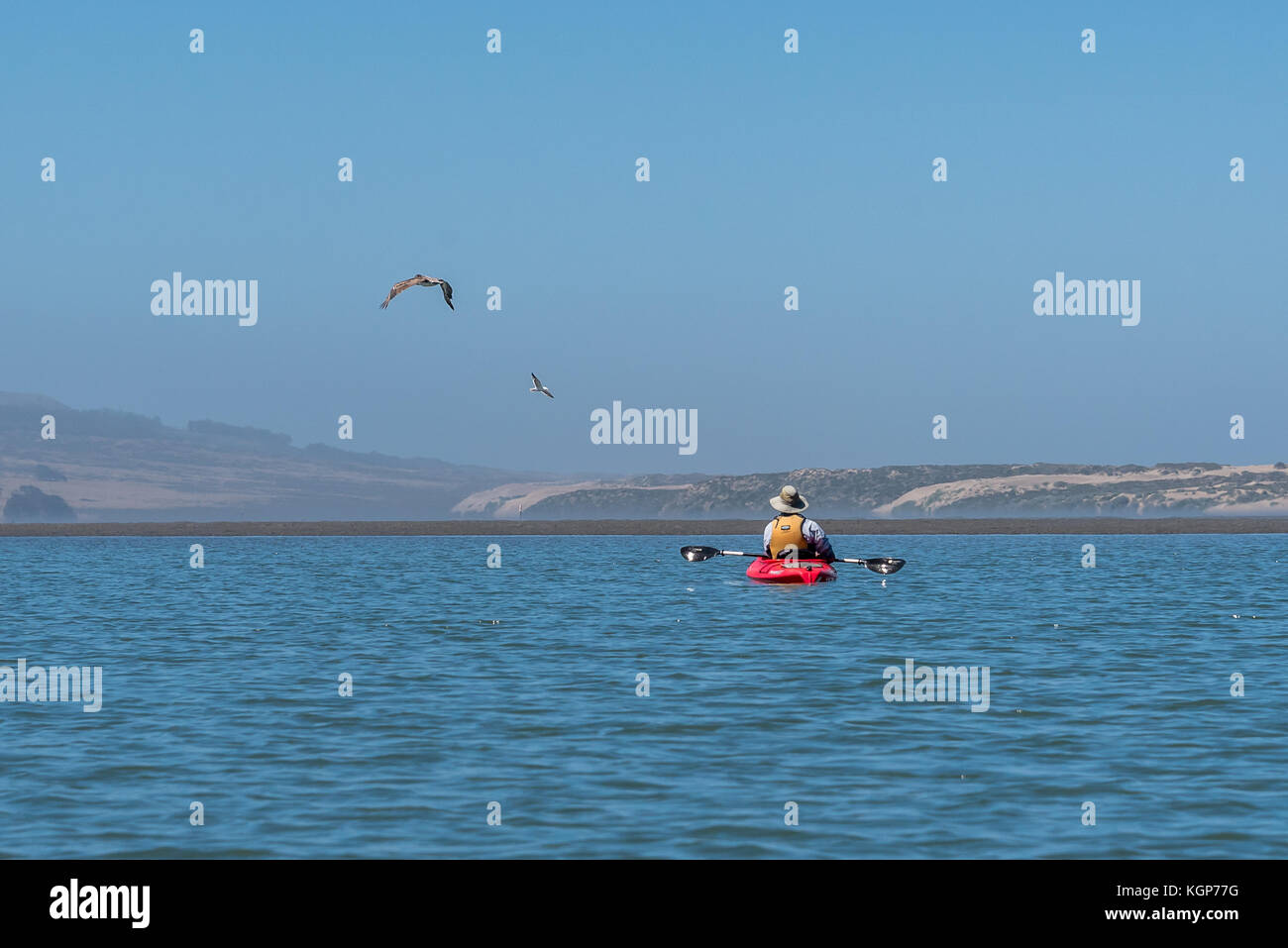 Un homme d'un kayak sur les palettes rouges de Morro Bay que les oiseaux voler à côté de lui, il s'arrête et se repose un moment pagaie horizontale à l'eau, barre de sable à distance. Banque D'Images