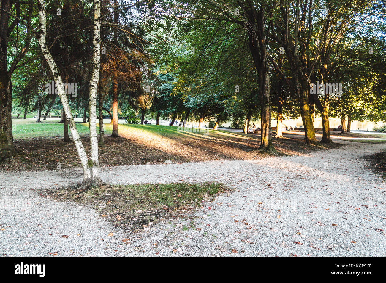 Photo de Trout Lake Park à Vancouver, Canada Banque D'Images