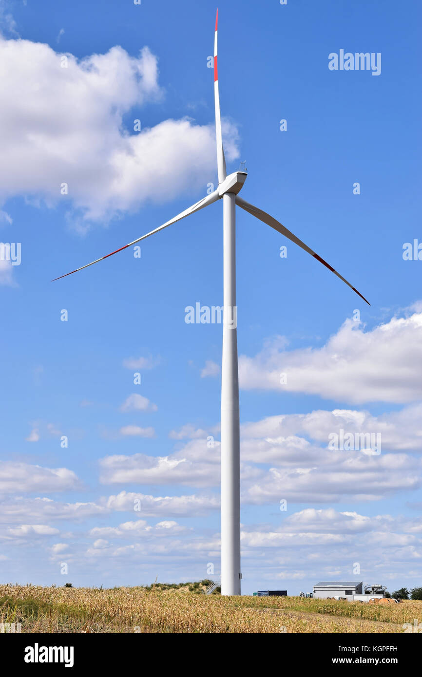 Wind farm in alibunar, Serbie Banque D'Images