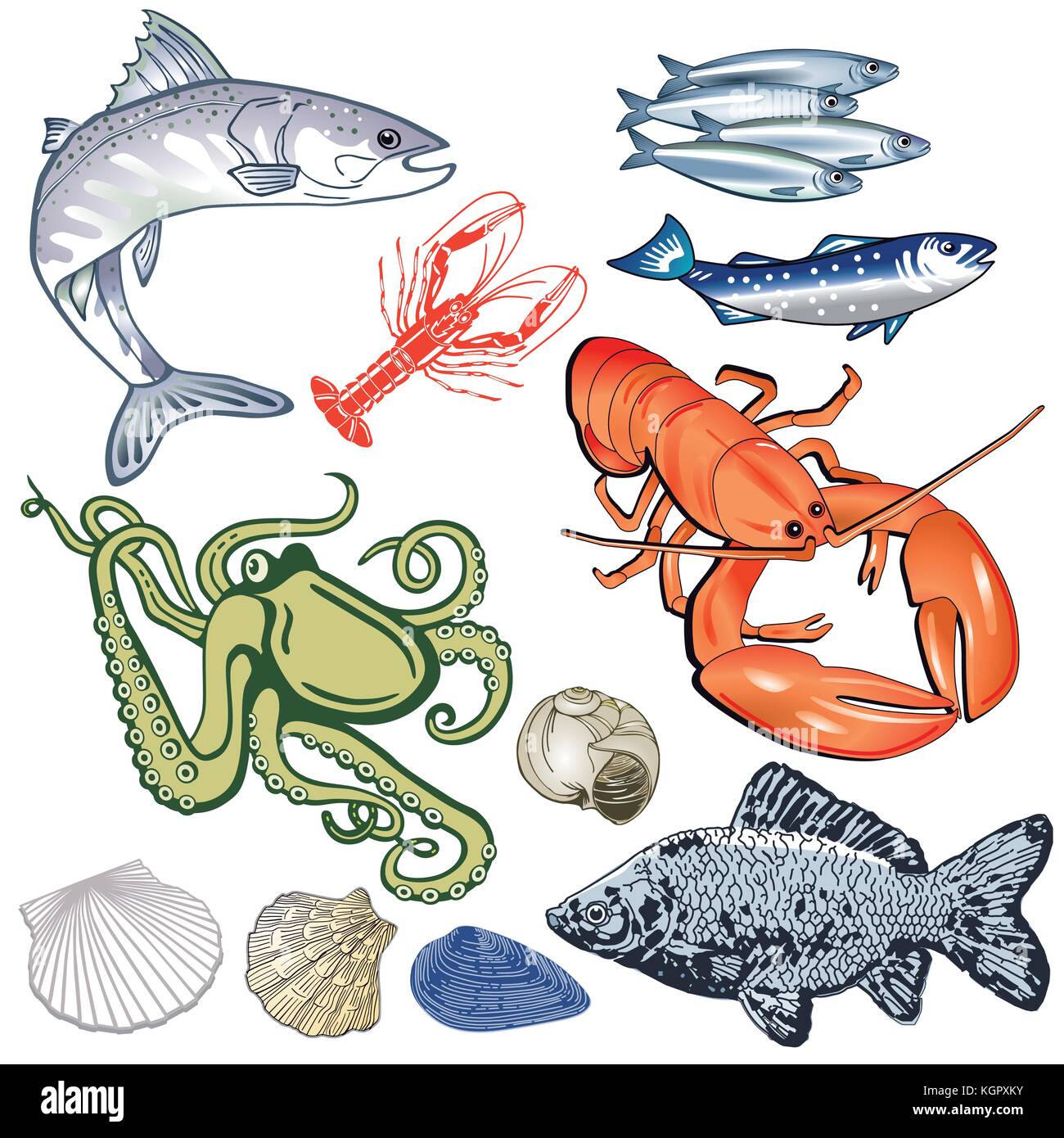 Fruits de mer, poissons, moules illustration Illustration de Vecteur