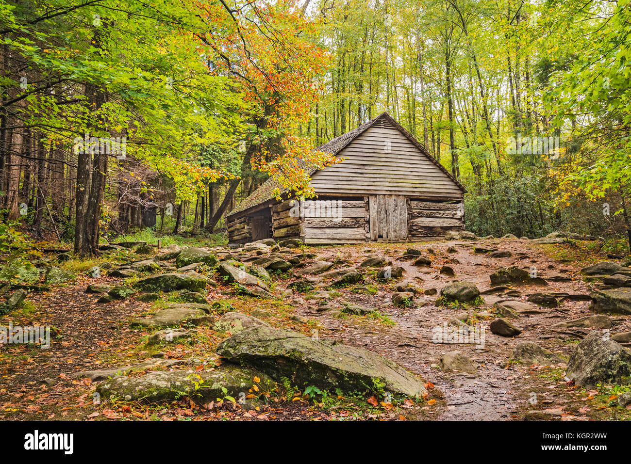 La couleur de l'automne dans le parc national des Great Smoky Mountains. Banque D'Images