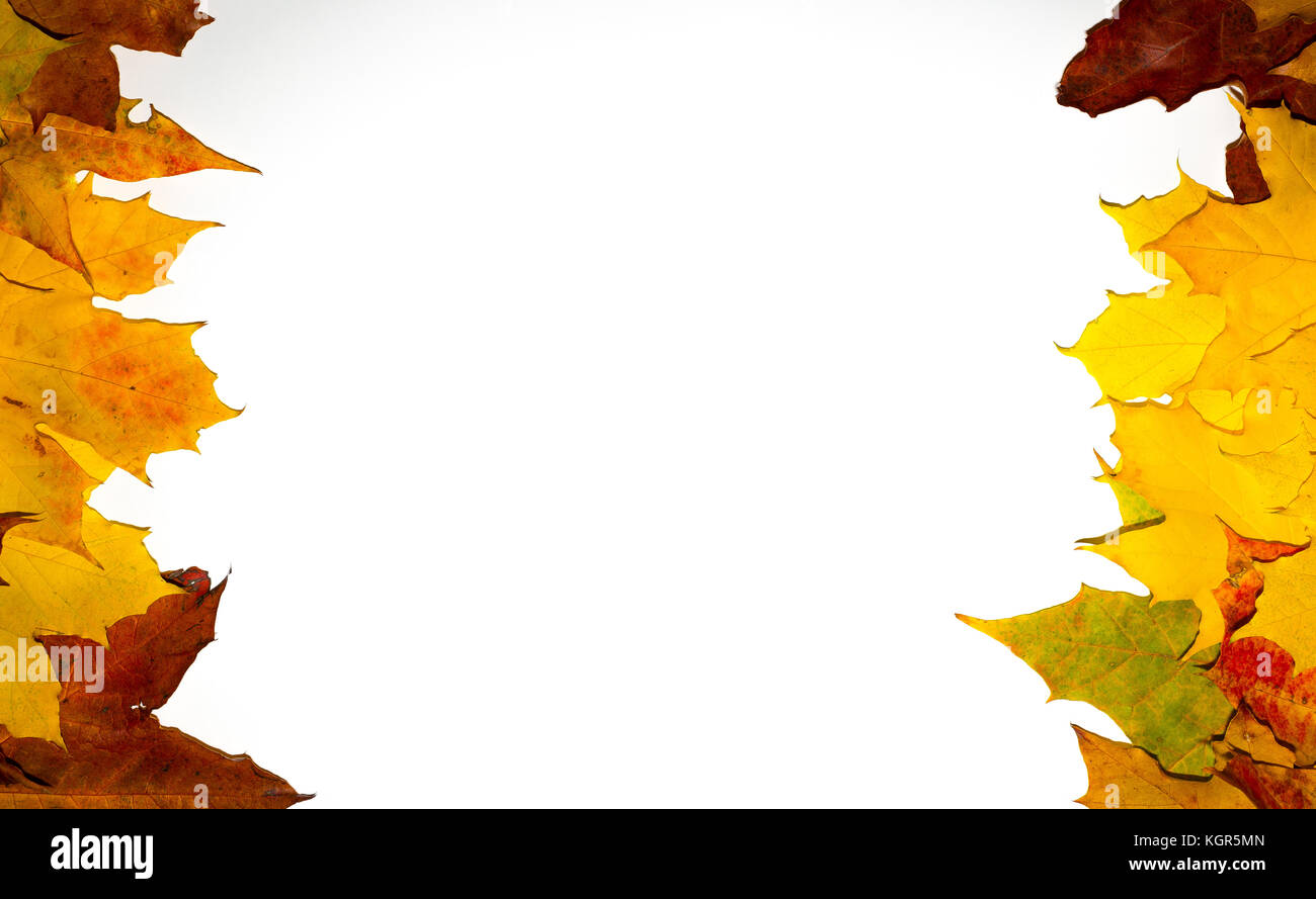 Border frame de feuilles aux couleurs automnales isolated on white Banque D'Images