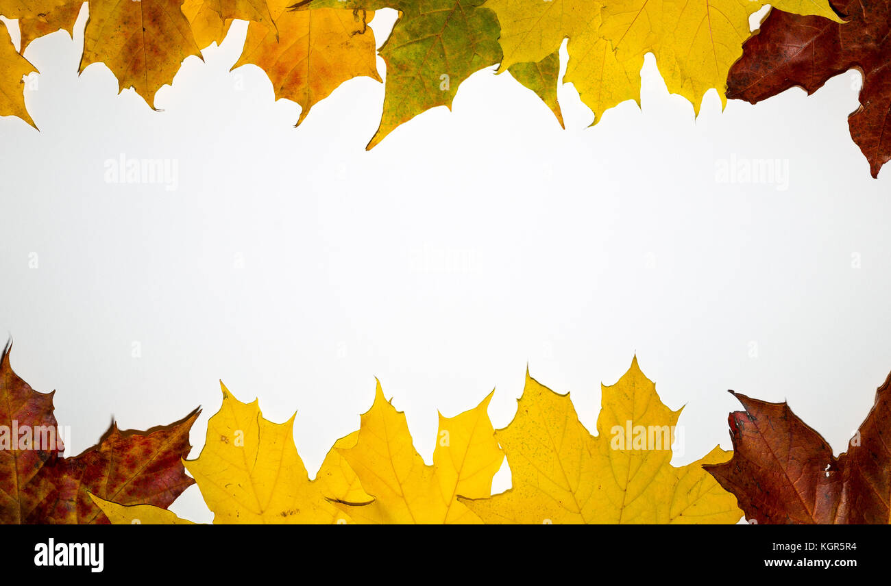 Toile d'automne - cadre composé de feuilles aux couleurs automnales over white Banque D'Images