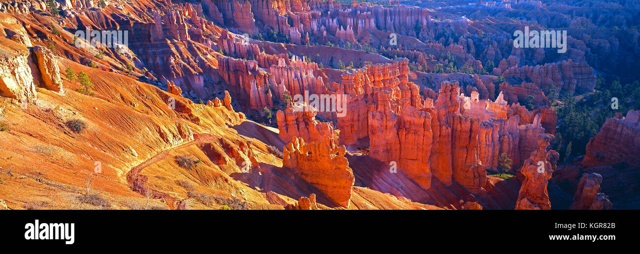 ÉTATS-UNIS. Utah. Parc national de Bryce Canyon. Formations rocheuses de Hoodoos. Banque D'Images