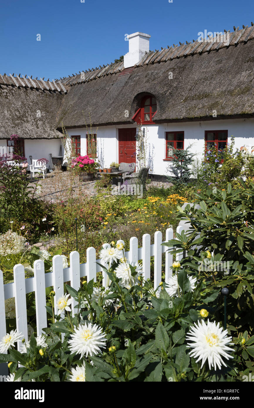 Peint blanc traditionnel thatched cottage danois et jardin avec clôture blanche, Gilleleje, le Kattegat, la Nouvelle-Zélande, le Danemark, Europe Banque D'Images