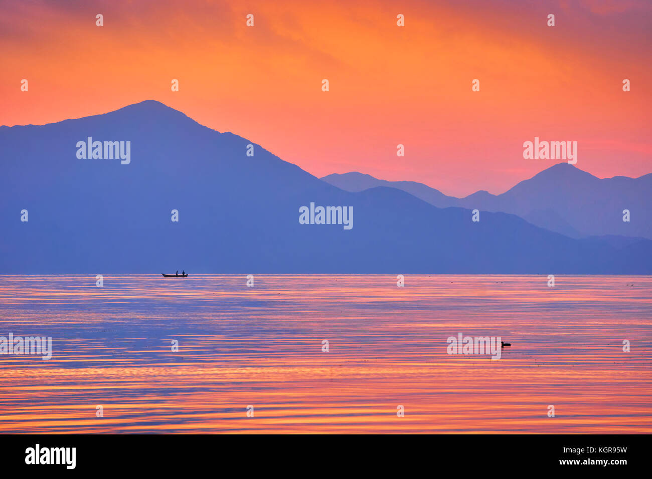 Après le coucher du soleil, le lac de Skadar, Shkoder Albanie Banque D'Images