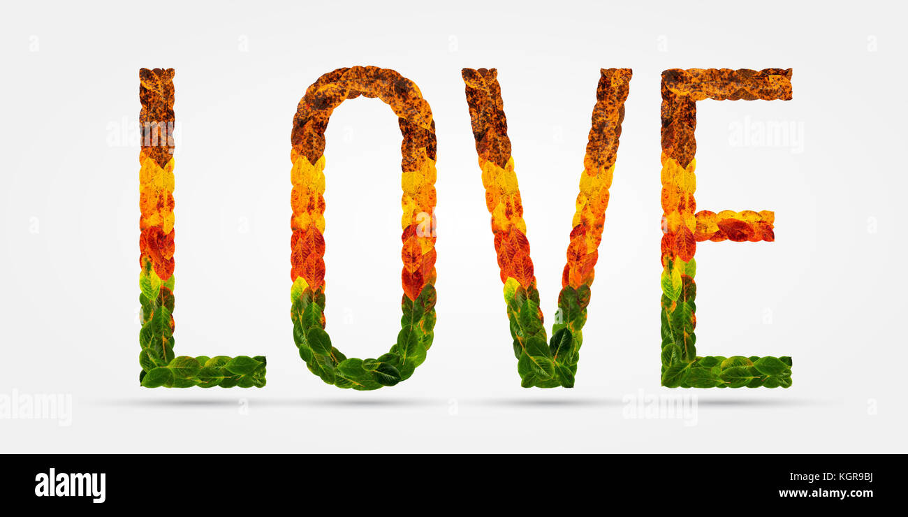 Un Mot D Amour De Feuilles En Automne Carte Cadeau Idee Creative Pour Un Etre Cher Une Belle Police Dans Les Feuilles Une Declaration D Amour Le Jour De La Saint Valentin Photo Stock Alamy