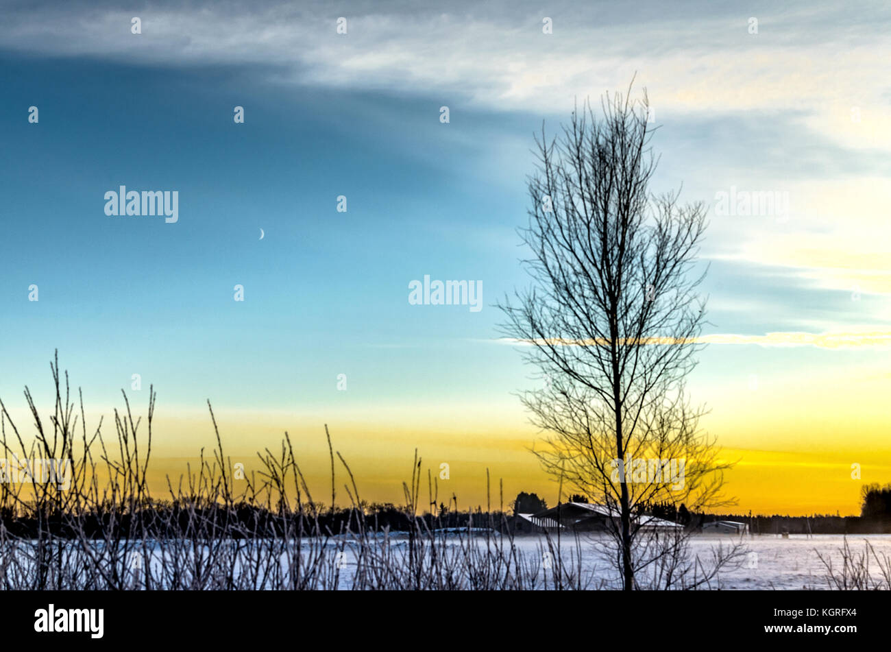 Coucher de soleil dans un paysage de campagne enneigé à Turi, Estonie Banque D'Images