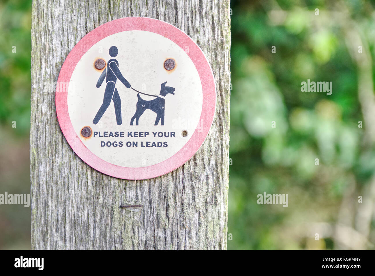 Old weathered veuillez garder vos chiens sur des pistes en bois sur l'arrière-plan flou vert avec post Banque D'Images