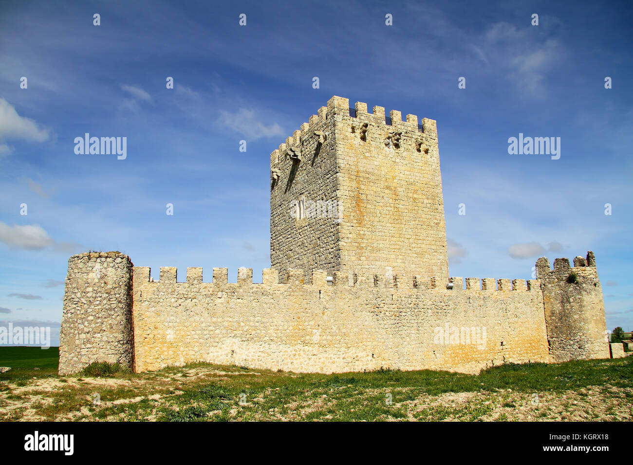 Château de tiedra, route des châteaux, Valladolid, Castille et Leon, Espagne Banque D'Images