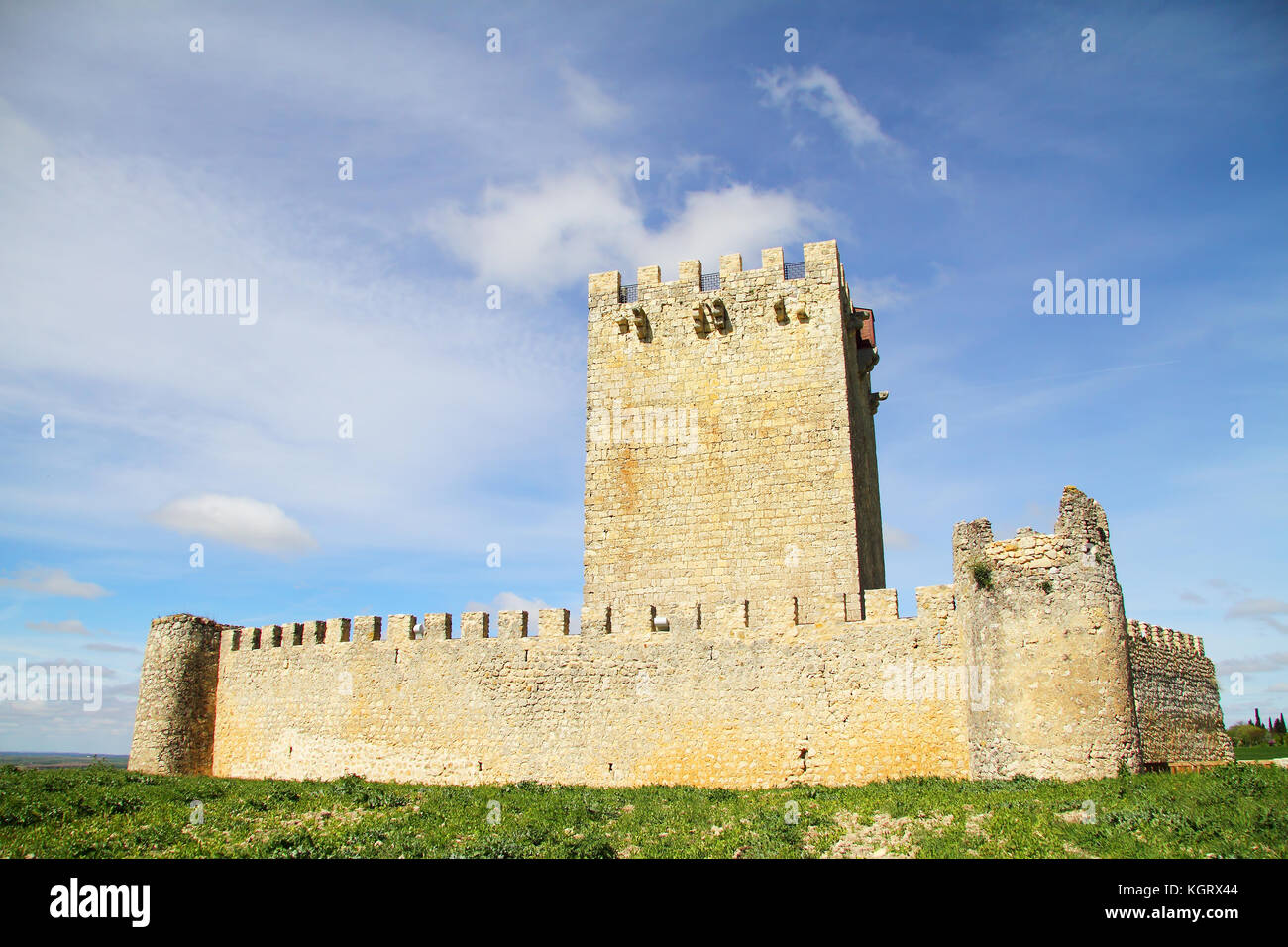 Tiedra château, Valladolid, Castille et Leon, Espagne Banque D'Images
