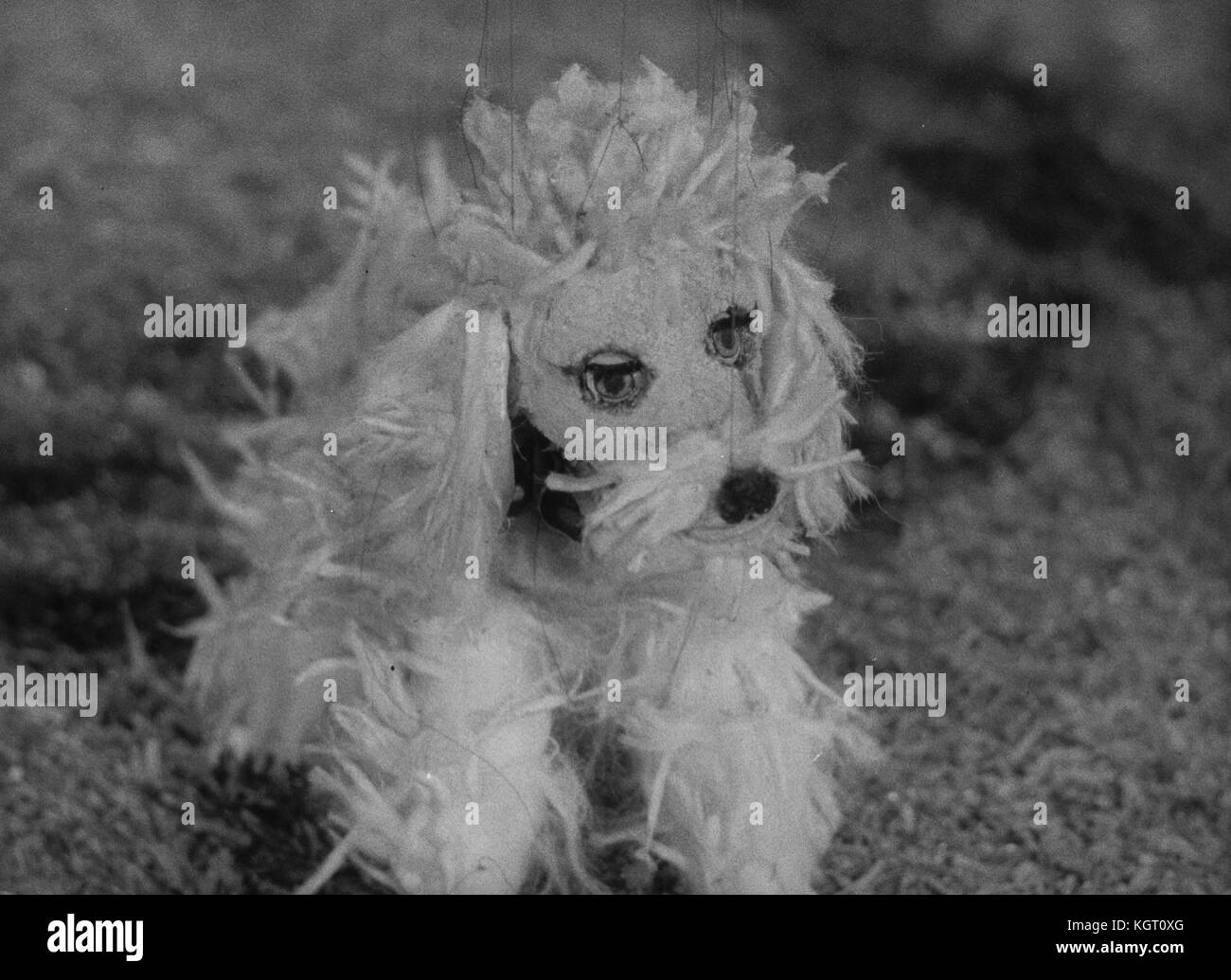 La batterie Torchy Boy (1957) TV series , une série, épisode 2, Topsy Turvy Land , Pom-Pom le chien Date : 1957 Banque D'Images