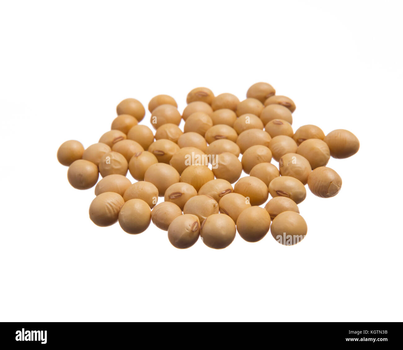 Glycine max est nom scientifique du soja légumineuse. Également connu sous le nom de soja et de soja. pile de céréales, isolé sur fond blanc. Banque D'Images