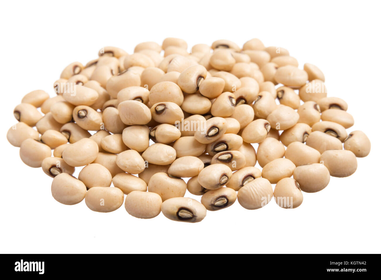 Vigna unguiculata est nom scientifique de Black Eyed pea légumineuse. Également connu sous le nom de pois de chèvre, Californie dolique et feijao fradinho. tas de grains, d'isolat Banque D'Images