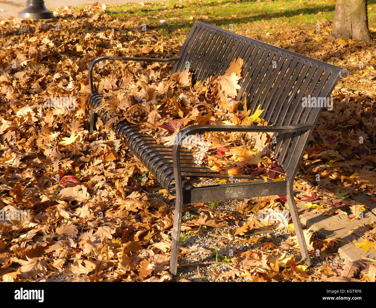 Automne feuilles banc orange couvrant l'arrière-plan Banque D'Images