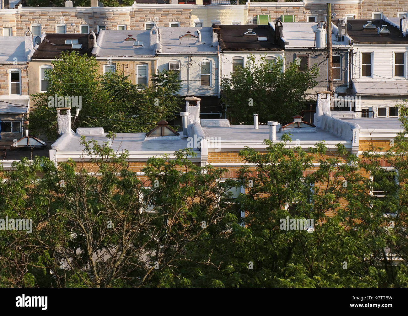 À l'extérieur et vers le bas à travers les sommets de plusieurs rangées de vieux toits en rangée de la ville de Baltimore dans le printemps avec de l'arbre vert Banque D'Images