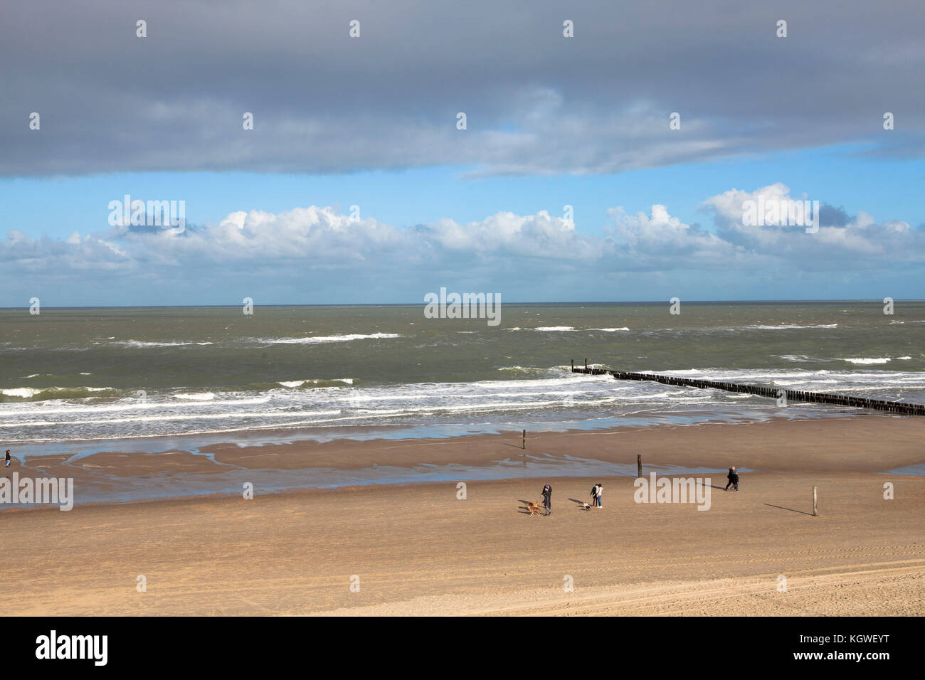 Pays-Bas, à la plage de Domburg sur la péninsule de Walcheren, groins. Niederlande, Am Strand von Domburg auf Walcheren, Buhnen. Banque D'Images