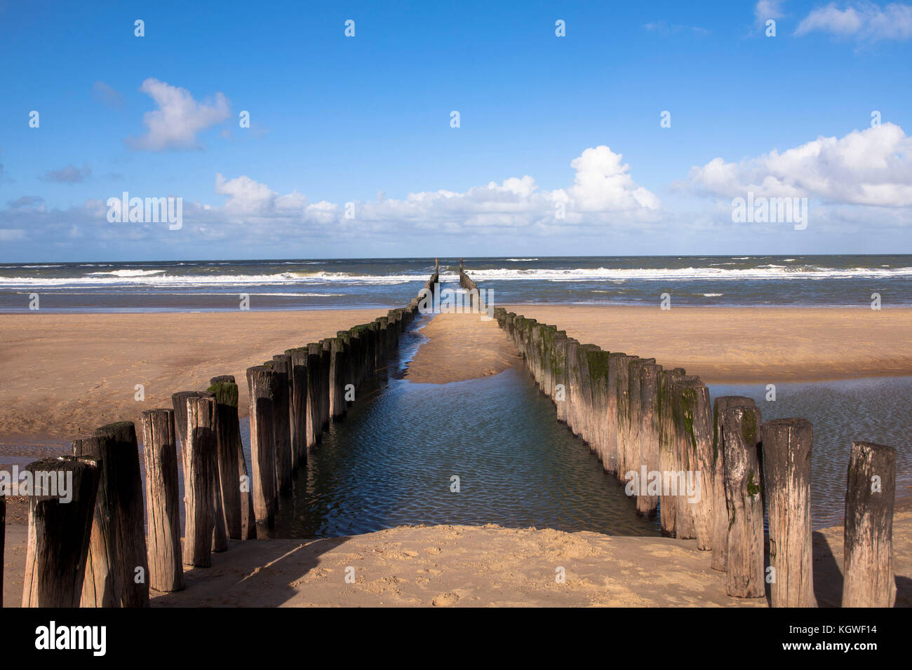 Pays-Bas, à la plage de Domburg sur la péninsule de Walcheren, groins. Niederlande, Am Strand von Domburg auf Walcheren, Buhnen. Banque D'Images