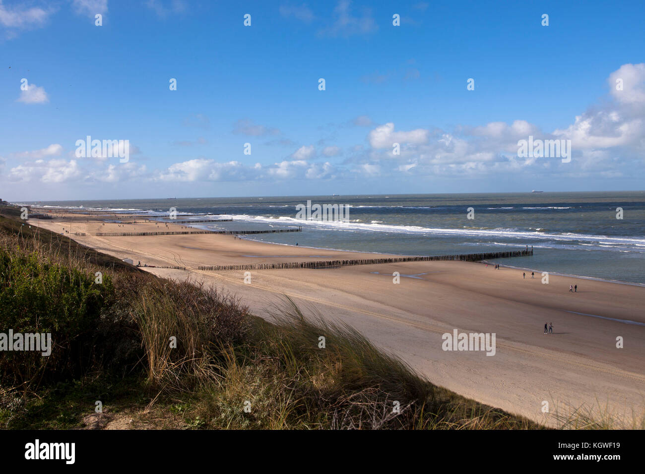 Pays-Bas, à la plage de Domburg sur la péninsule de Walcheren, groins. Niederlande, Am Strand von Domburg auf Walcheren, Buhnen. Banque D'Images