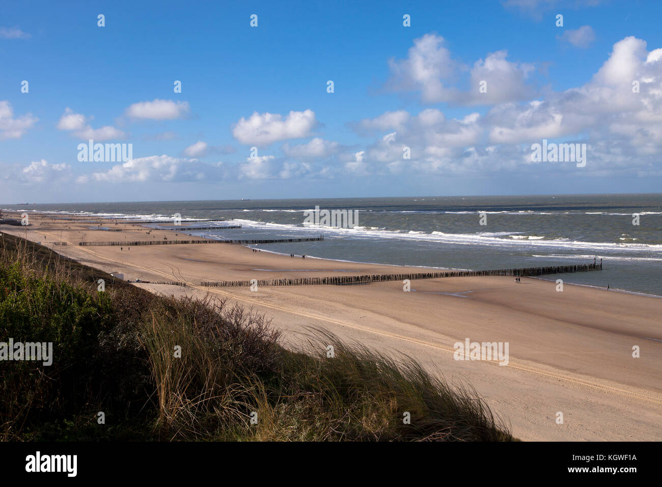 Pays-Bas, à la plage de Domburg sur la péninsule de Walcheren, groins. Niederlande, Am Strand von Domburg auf Walcheren, Buhnen. Banque D'Images