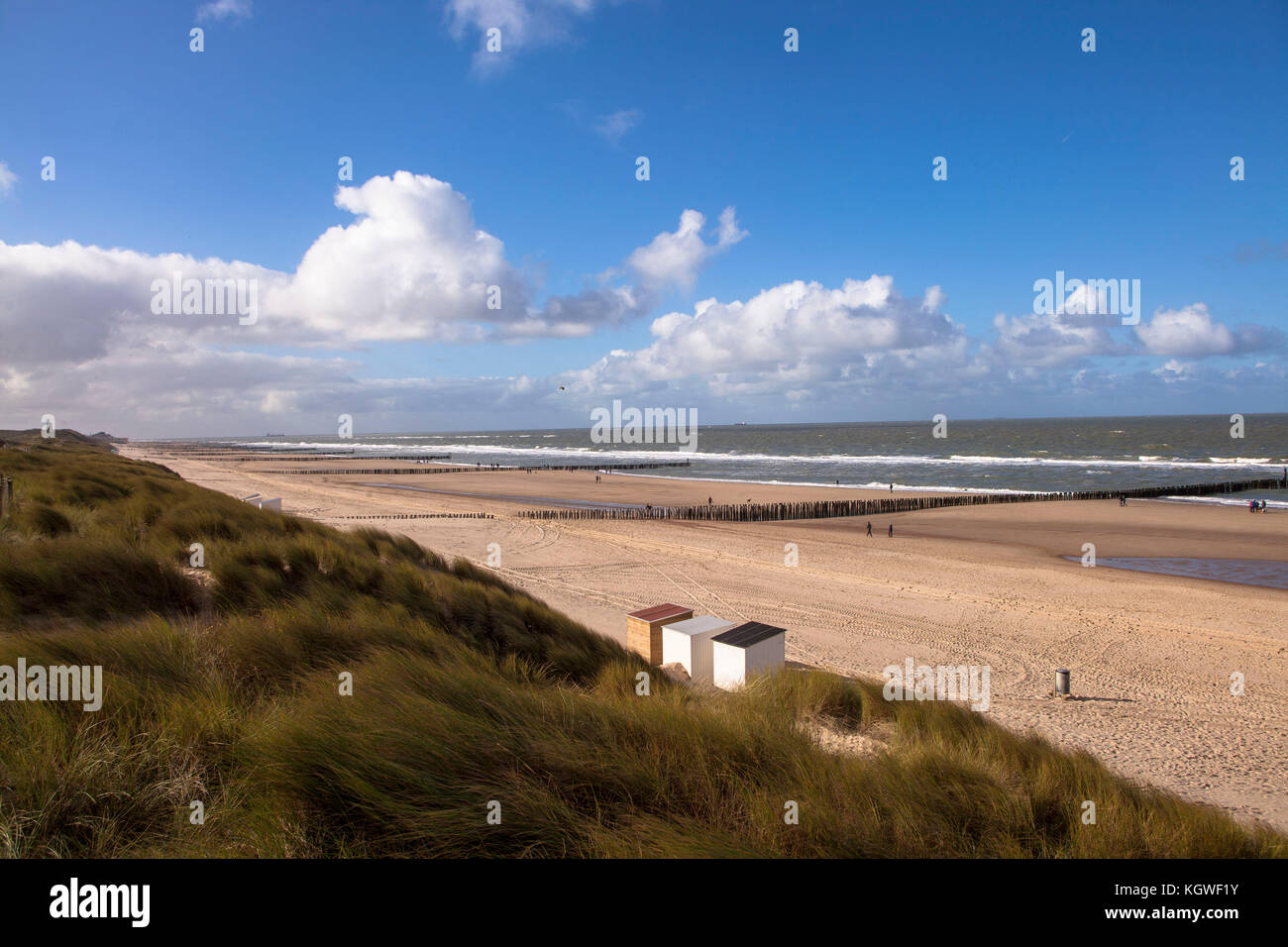 Pays-Bas, à la plage de Domburg sur la péninsule de Walcheren, groins. Niederlande, Am Strand von Domburg auf Walcheren, Buhnen. Banque D'Images