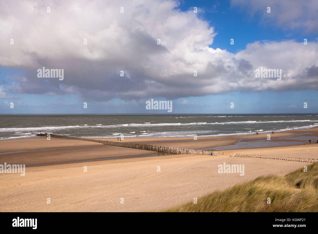 Pays-Bas, à la plage d'Oostkapelle sur la péninsule de Walcheren, groins. Niederlande, Am Strand von Oostkapelle auf Walcheren, Buhnen. Banque D'Images