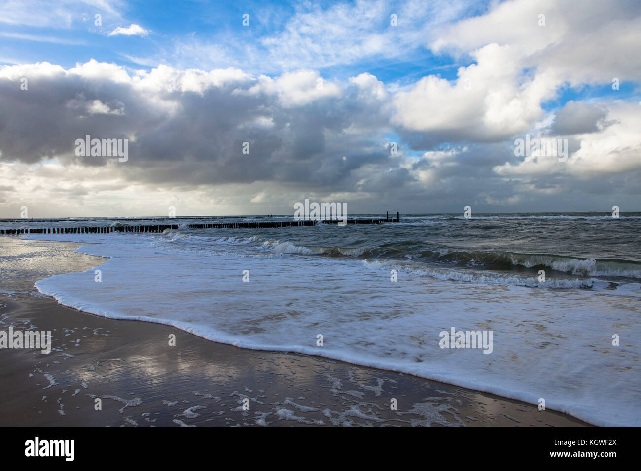 Pays-Bas, Zeeland, à la plage entre Oostkapelle et Domburg sur la péninsule de Walcheren, groins. Niederlande, Zeeland, Am Strand zwischen Oostk Banque D'Images
